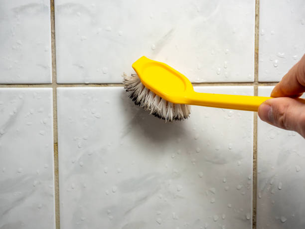Best Office Mold Removal Services  in Hancock, MD