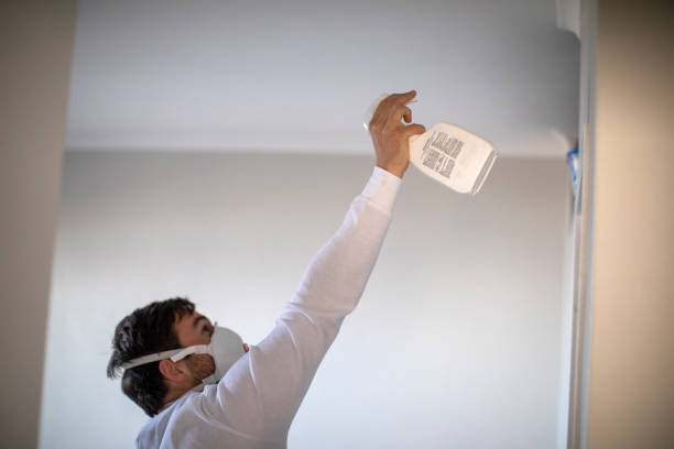 Best Commercial Mold Removal  in Hancock, MD