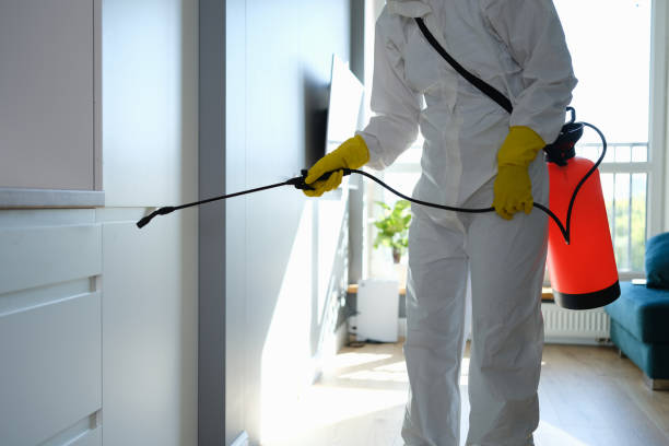 Best Mold Testing  in Hancock, MD