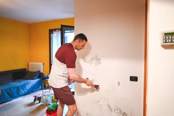 Best Attic Mold Removal  in Hancock, MD